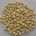 Cereal de cacahuete blanqueado de la nueva cosecha china, cacahuete pelado, cacahuete sin piel roja